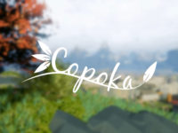 Copoka — Review