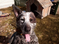 Far Cry 5 — Vicious Wildlife, A Crazy Cast Of Characters, And Co-Op Hijinks