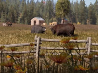 Far Cry 5 — Who’s Hunting Whom?