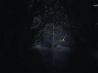 Blair Witch — New Gameplay