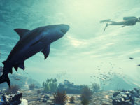 Maneater — The Shark Souls Of Open World Shark Games