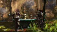 Kingdoms Of Amalur: Re-Reckoning — Screenshot