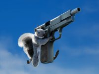 Squirrel With A Gun — Launched