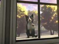 Copycat — Console Release Date