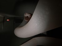 Digested — Demo