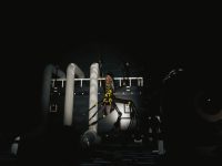 Huntsman — Creature Feature: Orb Weaver