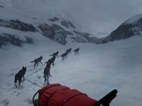 WILL: Follow The Light — Open Playtest