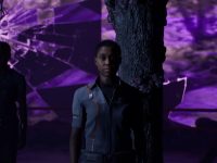 Directive 8020 — Comply