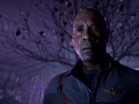 Directive 8020 — Everything You Need To Know