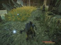 Styx: Blades Of Greed — New Game+ Update