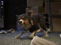 Barkour — Story