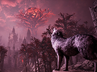 Stray Dog: Nobody Cares — Announcement